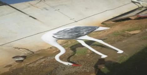 FRP Big Bird - Image 1